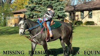 MISSING PRESUMED STOLEN EQUINE Requesting Action aka "Roxy",   Near Mount Pleasent, WI, 53177